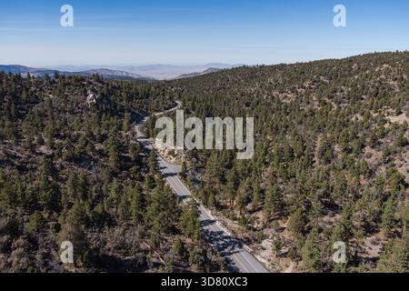 Die kalifornische Bergstraße führt durch grüne Kiefern in der Nähe des Lucerne Valley. Stockfoto