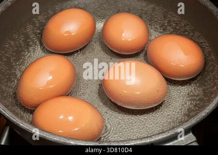 Eier kochen in einem Topf Stockfoto