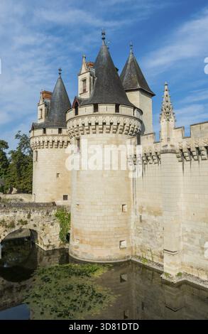 Dissay, Frankreich - 11. August 2014: Großes Schloss von Dissay in Frankreich mit mehreren Türmen und Brücke, Dissay, Frankrijk Stockfoto