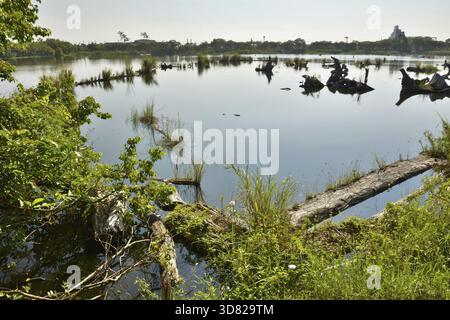 Landschaft des alten Holzteichs, aufgenommen im Luodong Forestry Culture Garden, Yilan County, Taiwan Stockfoto