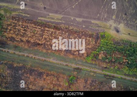 Dokumentierte Luftbefehle für Infrastrukturschäden. Verbrannte Vegetation grenzt an Eisenbahngleise und veranschaulicht die Auswirkungen auf die Umwelt und strategische Schäden in einer militärischen Konfliktzone. Stockfoto