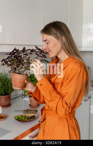 Gärtnerin in der Küche hält gebackenes Basilikum in den Händen, riecht nach frischem Aroma und berührt violettes Laub Stockfoto