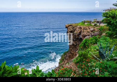Bunte blühende Pflanzen wachsen am Rand einer Klippe mit Blick auf das klare blaue Wasser des Atlantischen Ozeans auf Teneriffa Stockfoto