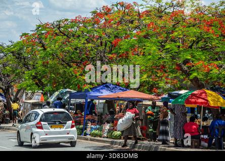 Das geschäftige Treiben eines sehr bunten Markttages unter den flamboyanten Bäumen in Grootfontein, einer kleinen namibischen Stadt. Stockfoto