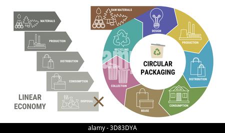Vergleich der linearen und kreisförmigen Verpackungsökonomie-Infografik. Schema des Produktlebenszyklus vom Rohstoff über Produktion, Verbrauch und Recycling Stock Vektor