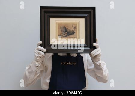 Sotheby’s, London, Vereinigtes Königreich. 28. November 2025. Rembrandt Harmensz. Van Rijn’s Young Lion Rasting, ein seltenes Beispiel im Werk des Künstlers, das auf 15 bis 20 Millionen US-Dollar geschätzt wird, wird während eines Fotoanrufs bei Sotheby’s präsentiert Stockfoto