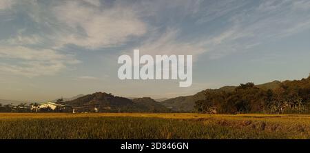 Landschaft mit Bergen und Reisfeldern am Nachmittag Stockfoto