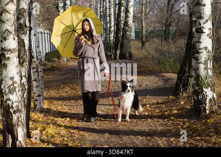 Junge Frau in braunem Fell und Kopftuch hält einen gelben Regenschirm und steht mit einem schwarz-weißen Hund an der Leine auf einem Herbstwaldweg mit Birke Stockfoto