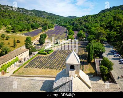Frankreich, Vaucluse, Parc Naturel Regional du Luberon (Naturpark Luberon), Gemeinde Gordes, Lavendelfeld vor der Zisterzienserabtei Notre Dame de Senanque aus dem 12. Jahrhundert (aus der Vogelperspektive) Stockfoto