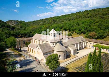Frankreich, Vaucluse, Parc Naturel Regional du Luberon (Naturpark Luberon), Gemeinde Gordes, Lavendelfeld vor der Zisterzienserabtei Notre Dame de Senanque aus dem 12. Jahrhundert (aus der Vogelperspektive) Stockfoto
