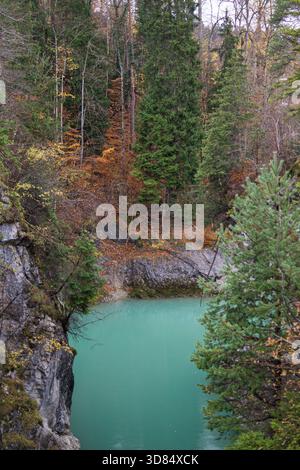 Ein türkisfarbener Fluss schlängelt sich durch eine enge felsige Schlucht, umgeben von Herbstbäumen und immergrünen. Stockfoto