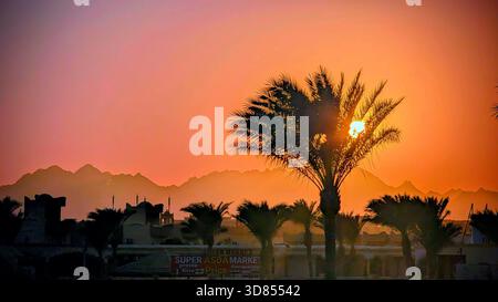 Goldener Sonnenuntergang über Sharm El Sheikh mit Palmensilhouetten und dem dramatischen Sinai-Gebirge, das im warmen Abendlicht leuchtet. Stockfoto