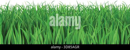 Realistisches grünes 3D-Gras. Feld- oder Rasenrand, Sommerlandschaft isoliertes Vektordesign. Wilde Wiese Frühlingslaub und Gartenvegetation für Ostern oder April Hintergrund. Banner-Vorlage für Natur. Stock Vektor