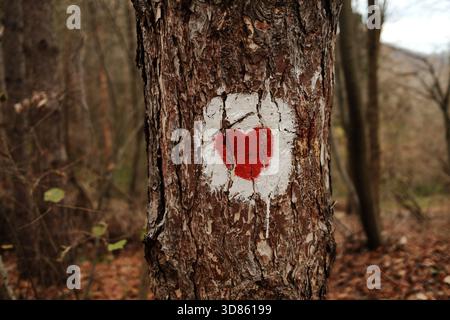Eine rote Herzmarkierung auf einem Baumstamm im Nationalpark Fruska Gora in Serbien hebt sich vom Herbstwald ab und unterstreicht die Wanderkultur Stockfoto