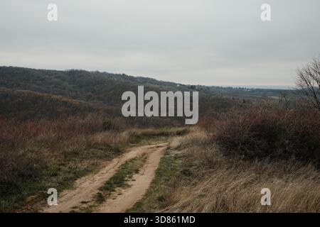 Eine kurvige Feldstraße führt durch grasbewachsene Hügel in Fruska Gora. Trockene Vegetation und gedämpfte Töne schaffen eine ruhige ländliche Atmosphäre. Stockfoto