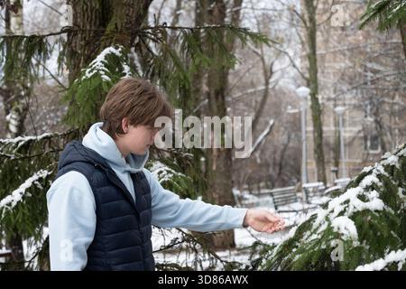 Junger Mann spaziert und berührt Schnee auf immergrünen Ästen im friedlichen Winterpark. Erster Schnee. Outdoor Lifestyle Stockfoto