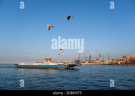 Eine Reihe von Möwen fliegen über den Suez-Kanal. Eine Fähre ist in der Ferne sichtbar, Port Said, Ägypten Stockfoto
