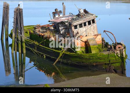 Die Mary D. Hume ist gefesselt und sinkt. Dieses Foto wurde 2015 aufgenommen, als es noch schwimmt, seither ist es teilweise gesunken. Ankerplatz auf der Rouge R Stockfoto