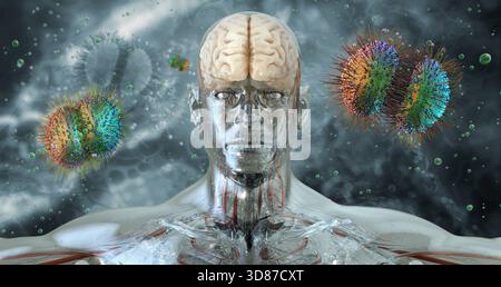 Zur Darstellung von Neisseria meningitidis, einem gramnegativen Diplokokkenbakterium. Theis-Bakterium kann Meningitis, Meningokokken-Krankheit und Sepsis verursachen Stockfoto