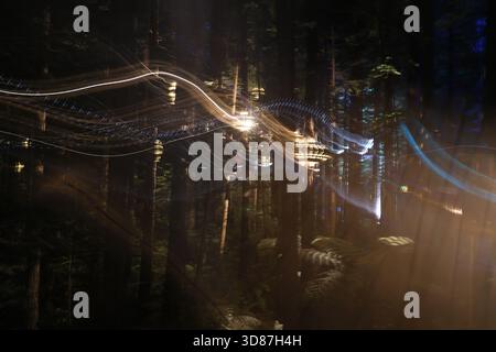 New Zealand Rotorua Abstract Light Trails Amony Dark Forest Trees 28.11.2025 Stockfoto