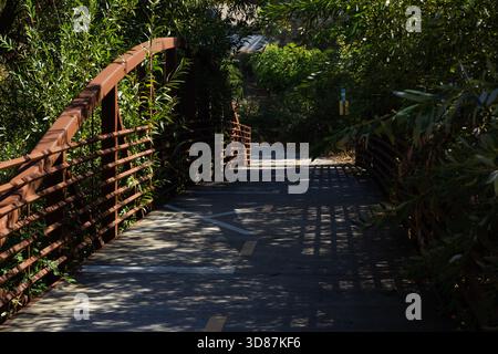 Ein malerischer Wanderweg führt zu einer bezaubernden Brücke, die von lebhaften grünen Bäumen beschattet wird. Sonnenlicht filtert durch die Blätter und schafft eine ruhige Atmosphäre per Stockfoto