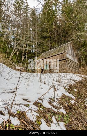 Rustikale Holzhütte auf einem schneebedeckten Hügel, umgeben von hohen Nadelwäldern. Stockfoto