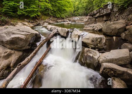 Kleiner Waldwasserfall, der über Felsen fließt und bei langer Exposition für einen weichen, nebeligen Effekt erfasst wird. Umgeben von Felsbrocken, umgestürzten Baumstämmen und üppigem Grün. Stockfoto