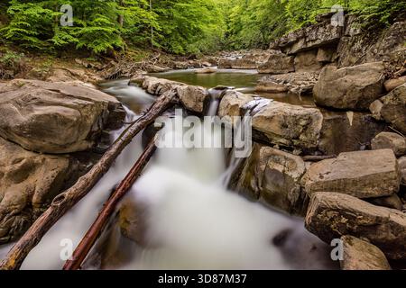 Kleiner Waldwasserfall, der über Felsen fließt und bei langer Exposition für einen weichen, nebeligen Effekt erfasst wird. Umgeben von Felsbrocken, umgestürzten Baumstämmen und üppigem Grün. Stockfoto