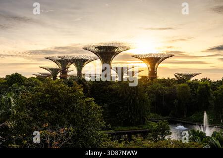Supertree Grove at Gardens by the Bay, Singapur, bei Sonnenaufgang mit Park Stockfoto