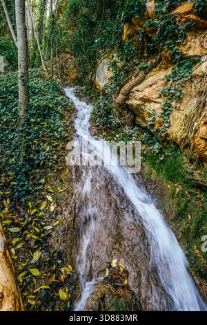 Kleiner Wasserfall oder Bach, der über Felsen in einem dichten grünen Wald mit Efeu-, Moos- und Herbstblättern fließt, langanhaltender Exposition, Naturlandschaft Stockfoto