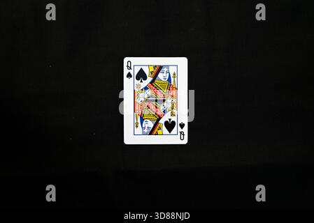 Vollständiger Satz Pokerkarten - Lady of Pides Stockfoto
