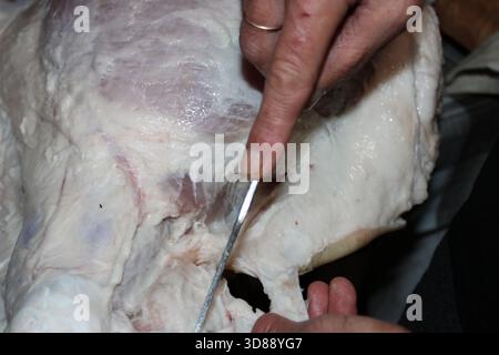 Eine Person bereitet frisches Huhn in einer Küche zu, wobei sie sorgfältige Schnitttechniken vorführt. Sonnenlicht erfüllt den Raum und betont den Fokus auf Aufgabe A Stockfoto