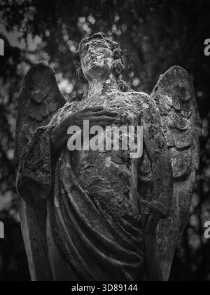 Schwarz-weiße Nahaufnahme einer verwitterten Steinengelstatue auf dem Friedhof Kozia brána in Bratislava, Slowakei. Atmosphärische Grabskulptur mit Beschädigung Stockfoto