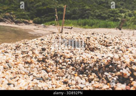 Extreme Nahaufnahme von gemischtem Strandsand und Kies Stockfoto
