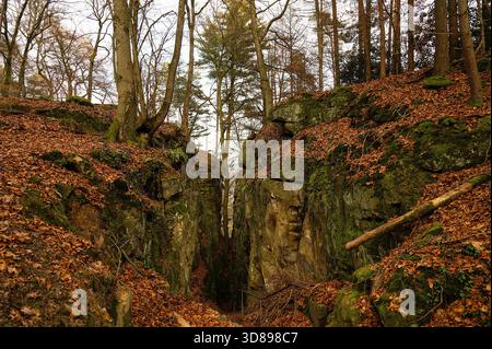 Teufelsschlucht an der Eifel, Teufelsschlucht mit mächtigen Felsblöcken und Schlucht, Wanderweg in Deutschland, Sandsteinbildung, Herbst Stockfoto
