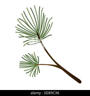 Zweig von Immergrün. Handbemalte Winterpflanzen. Illustrationen für Design, Druck, Hintergründe und Grußkarten. Stock Vektor