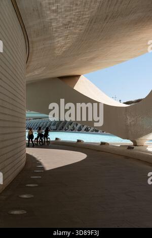 Die Stadt der Künste und Wissenschaften in Valencia, Spanien, mit ihrer kultigen futuristischen Architektur, reflektierenden Wasserpools und beeindruckenden geometrischen Strukturen Stockfoto