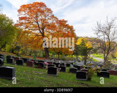 Mount Royal Cemetery in Montreal, Quebec, Kanada Stockfoto