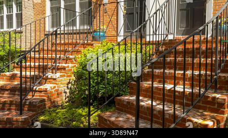 Mehrere gemauerte Treppen mit schwarzem Eisengeländer führen zu den Eingängen des Stadthauses, umgeben von üppigen Pflanzen und Topfblumen. Stockfoto