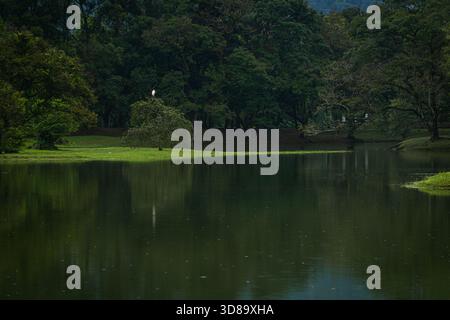 Regen fällt über einen ruhigen See, umgeben von dichten grünen Bäumen in einer bedeckten tropischen Landschaft in Malaysia. Die sanften Reflexe auf dem Wasser und die Stimmung Stockfoto