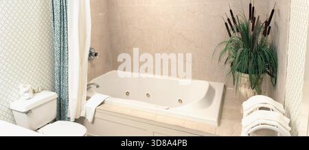 Heim Badezimmer mit Whirlpool, USA Stockfoto