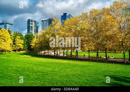 Blick auf den Bellevue City Park im Bundesstaat Washington mit Wolkenkratzern in der Ferne. Stockfoto