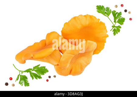 Pfifferling-Pilz isoliert auf weißem Hintergrund. Draufsicht. Flache Lagen Stockfoto