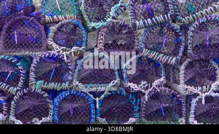 Abstrakte Hummer-Creels Stockfoto