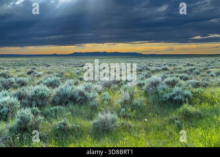 Die Sonne bricht durch Wolken über der Sagebrush-Prärie östlich der kleinen felsigen Berge im phillips County bei Zortman, montana Stockfoto