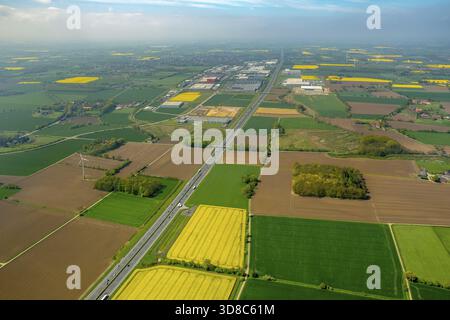 InlogPark Hamm an der Autobahn A2, Hamm, Ruhrgebiet, Nordrhein-Westfalen, Deutschland, DE, Europa, Luftaufnahme, Vogelperspektive, Luftaufnahme, aer Stockfoto