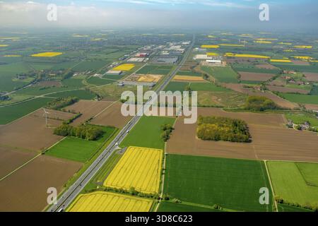 InlogPark Hamm an der Autobahn A2, Hamm, Ruhrgebiet, Nordrhein-Westfalen, Deutschland, DE, Europa, Luftaufnahme, Vogelperspektive, Luftaufnahme, aer Stockfoto