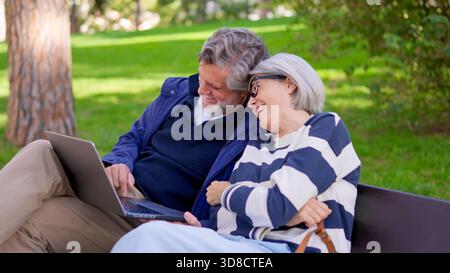Seniorenpaar benutzt zusammen einen Laptop im Park Stockfoto
