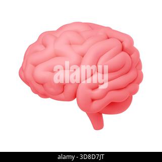 Detaillierte 3D-Illustration eines menschlichen Hirnmodells in leuchtendem Rosa, mit anatomischen Strukturen. Perfekt für pädagogische und wissenschaftliche Zwecke Stock Vektor