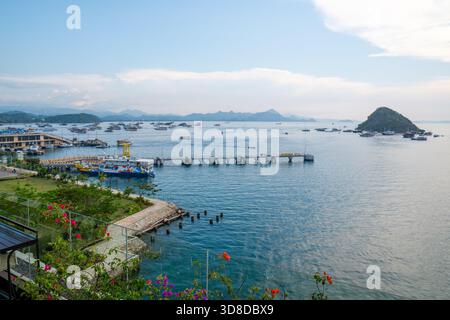 Blick vom Hotel Meruorah Komodo Dach, Yachthafen Komodo, Hafen, viele Boote vor Anker, Labuan Bajo, Flores, East Nusa Tenggara, Indonesien Stockfoto